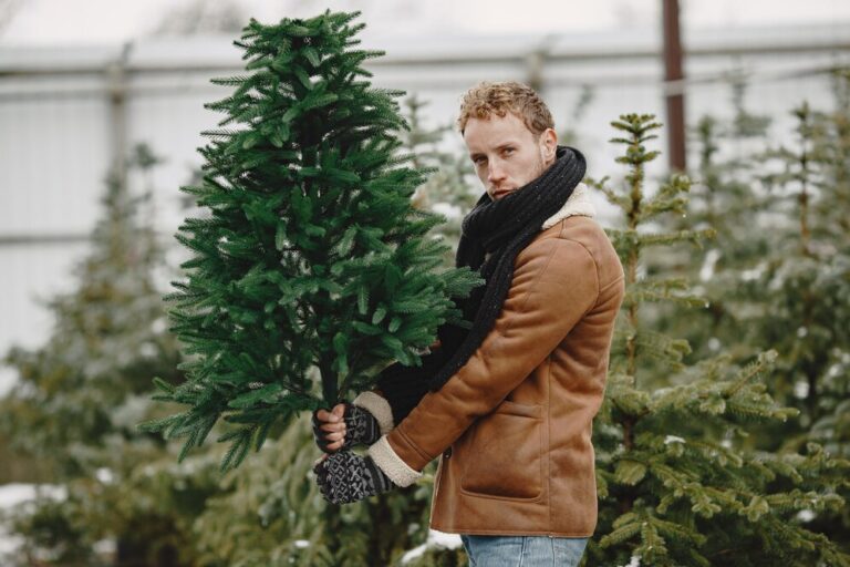 Why You Should Buy Marijuana From An Online Dispensary
